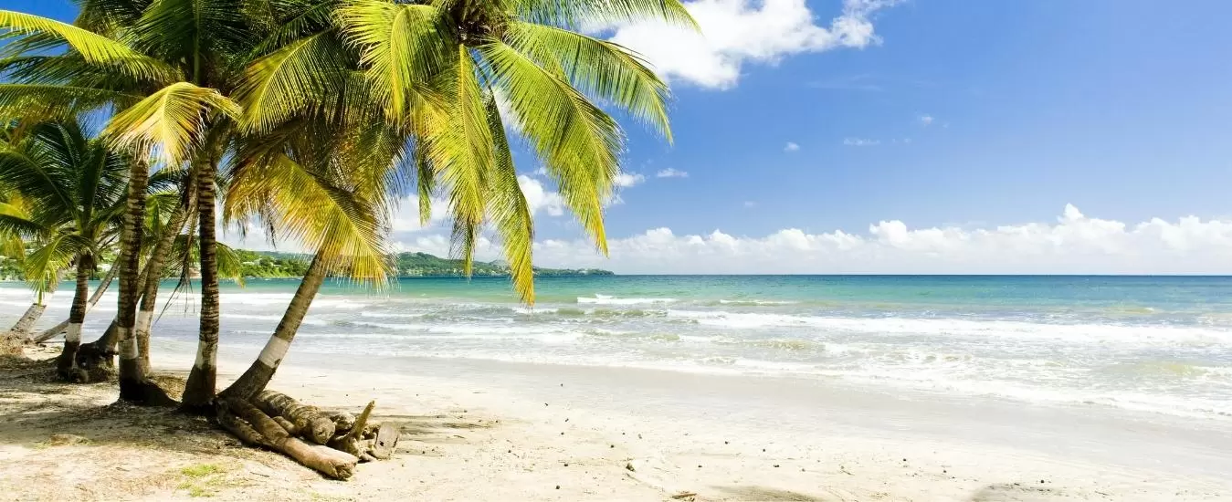 Cruceros desde Barbados