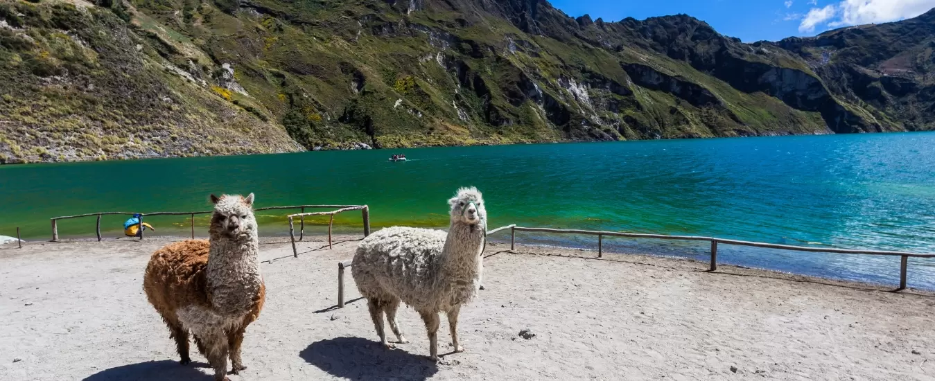 Ecuador desde Colombia