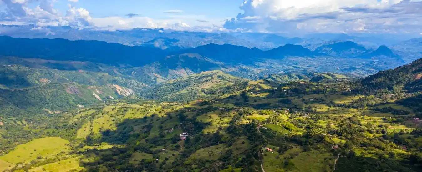 Tour del Cafe desde Medellin