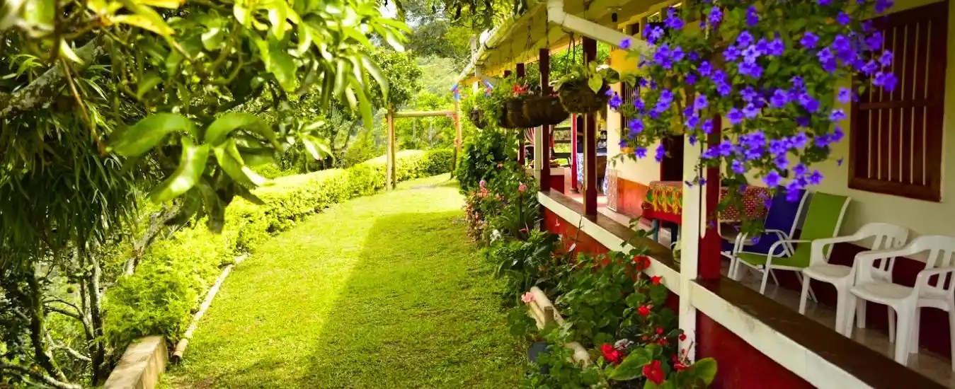 Tour del Cafe desde Medellin