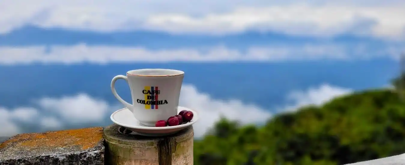 Tour Comunitario Medellin