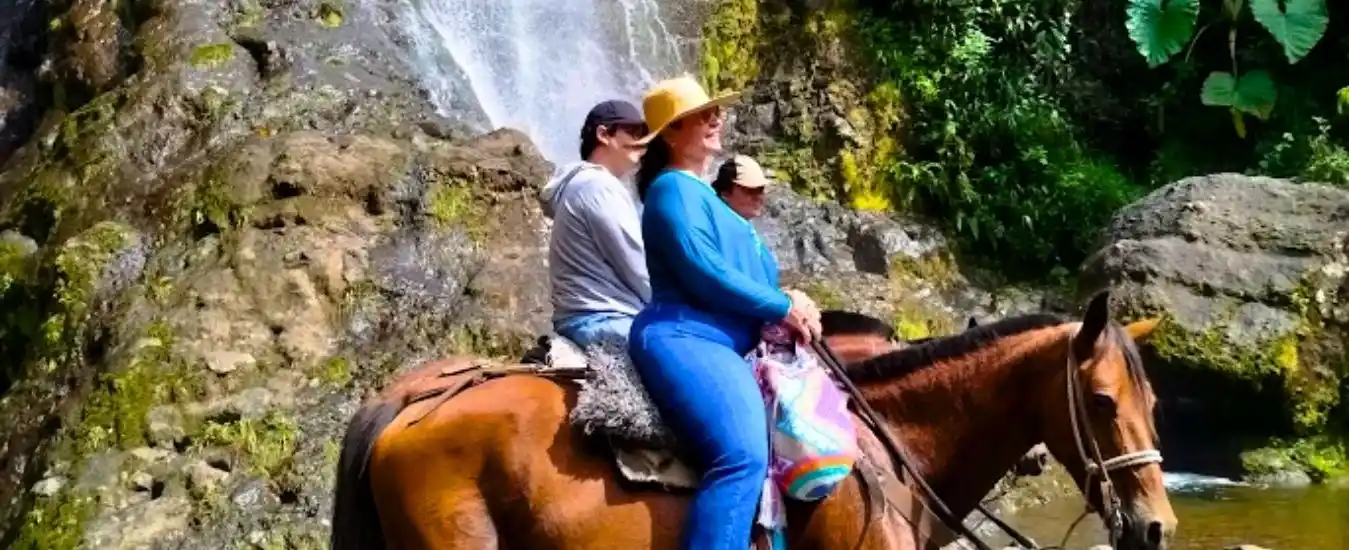 Tour a Jardin