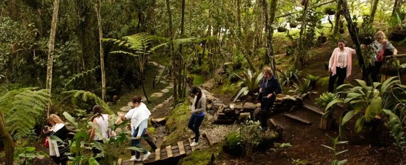 Tour Alma del Bosque 