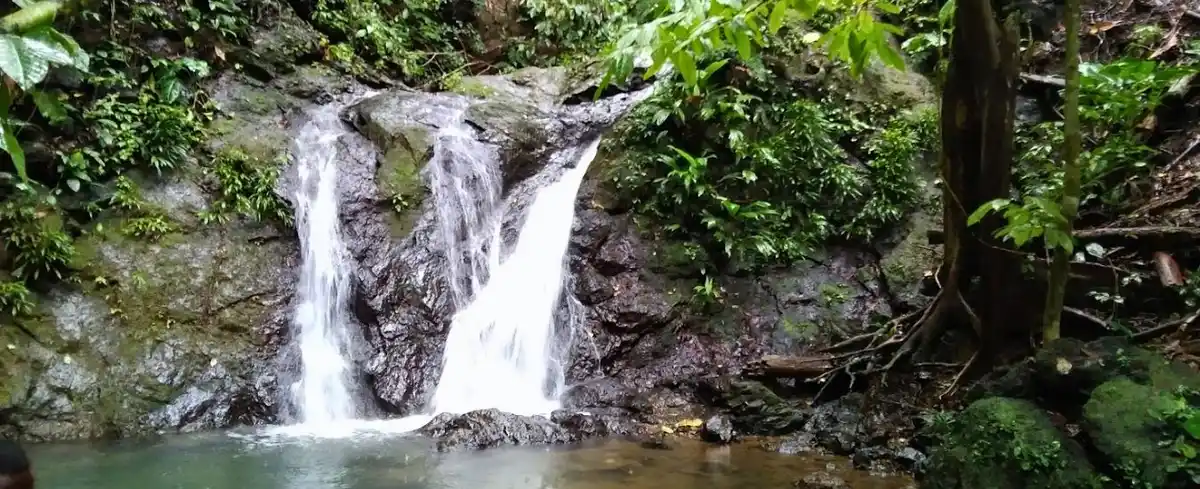 Viajes a Nuqui Colombia