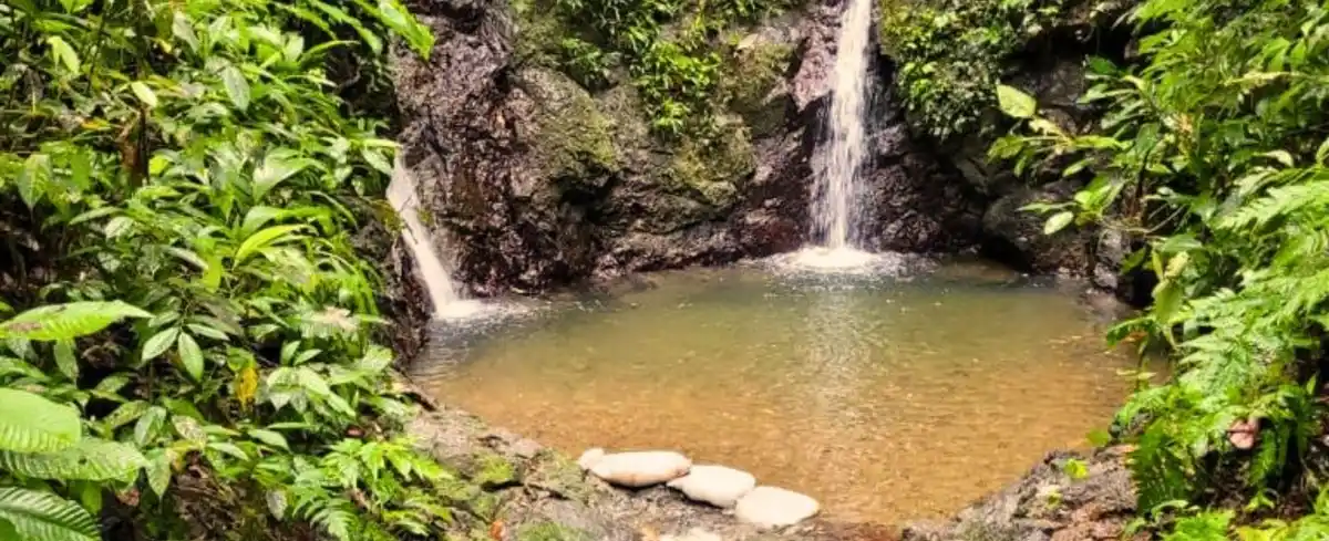 Viajes a Nuqui Colombia