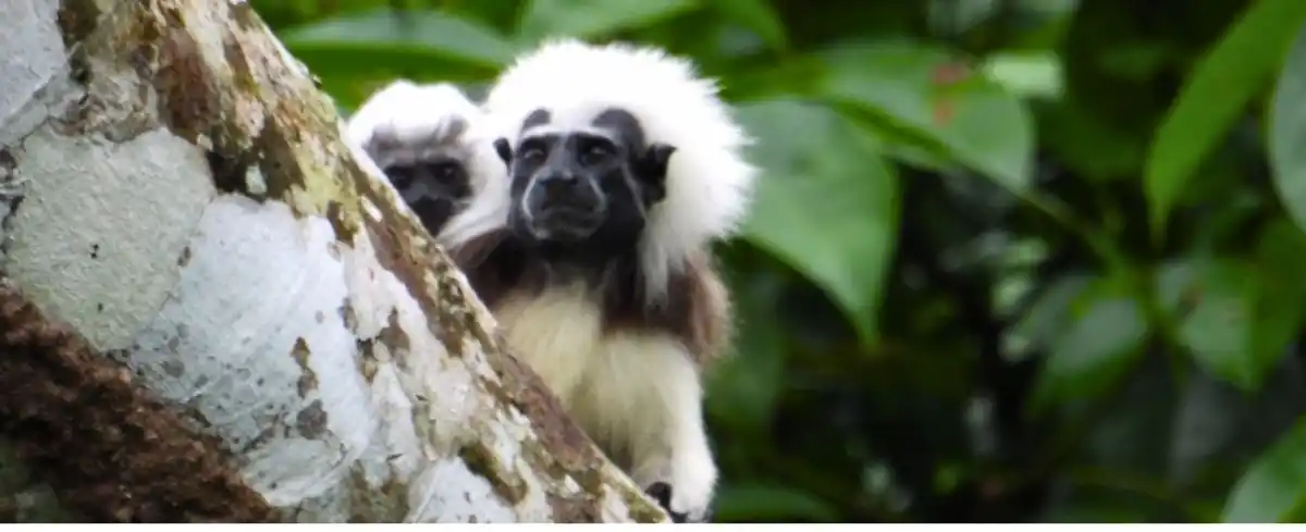 Tour a Santa fe de Antioquia