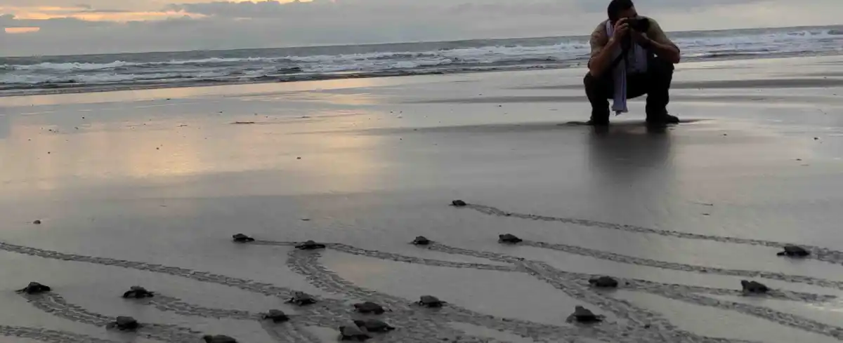 Viajes a Nuqui Colombia