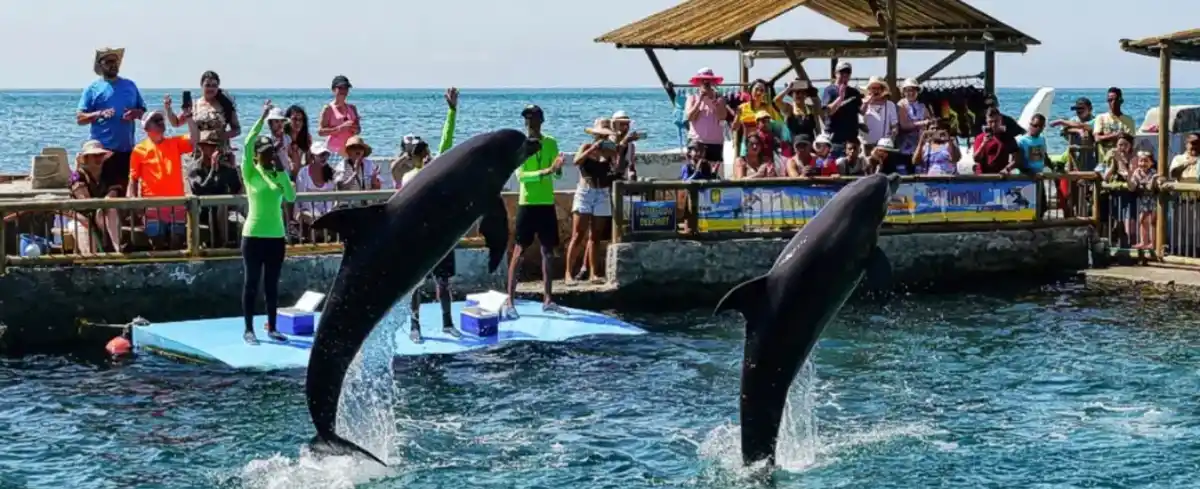 Viajes a Nuqui Colombia