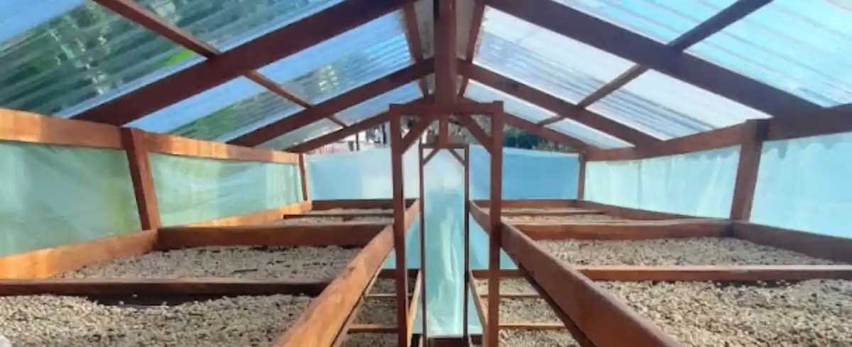 Baristas en Medellin