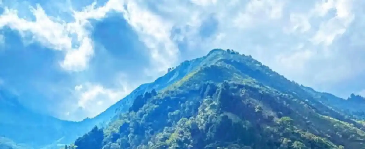 Baristas en Medellin