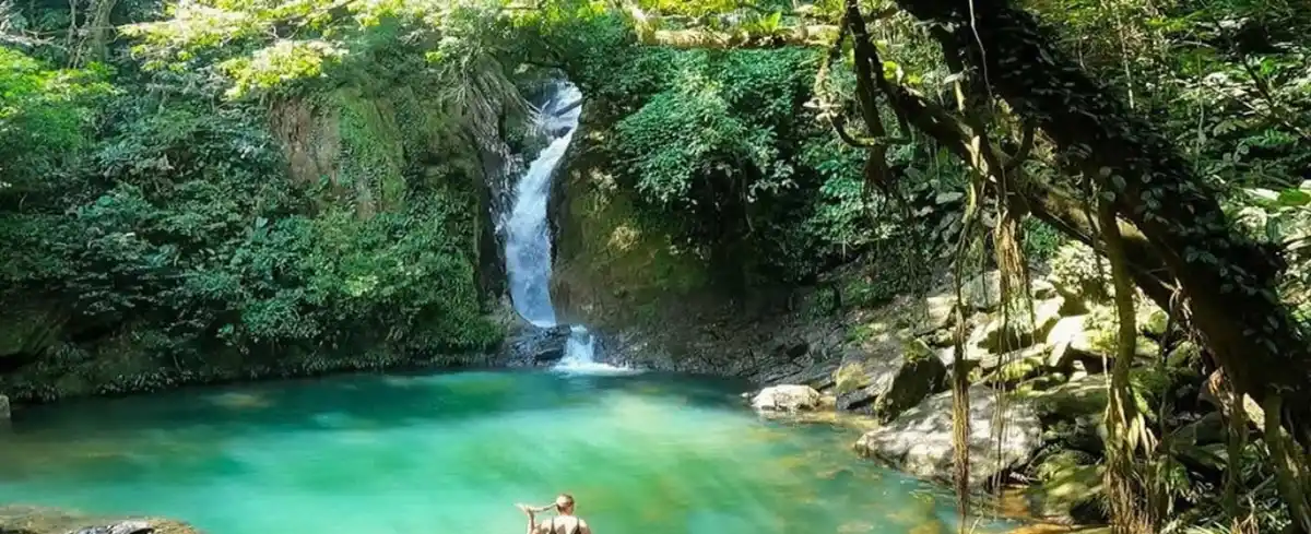 Baristas en Medellin