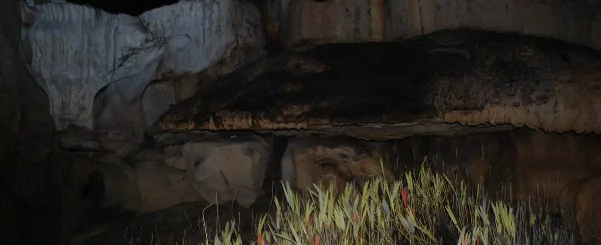 Baristas en Medellin