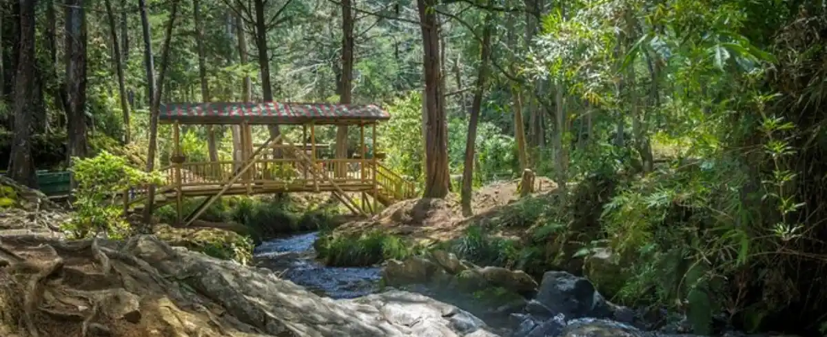 Turismo Comunitario Medell�n