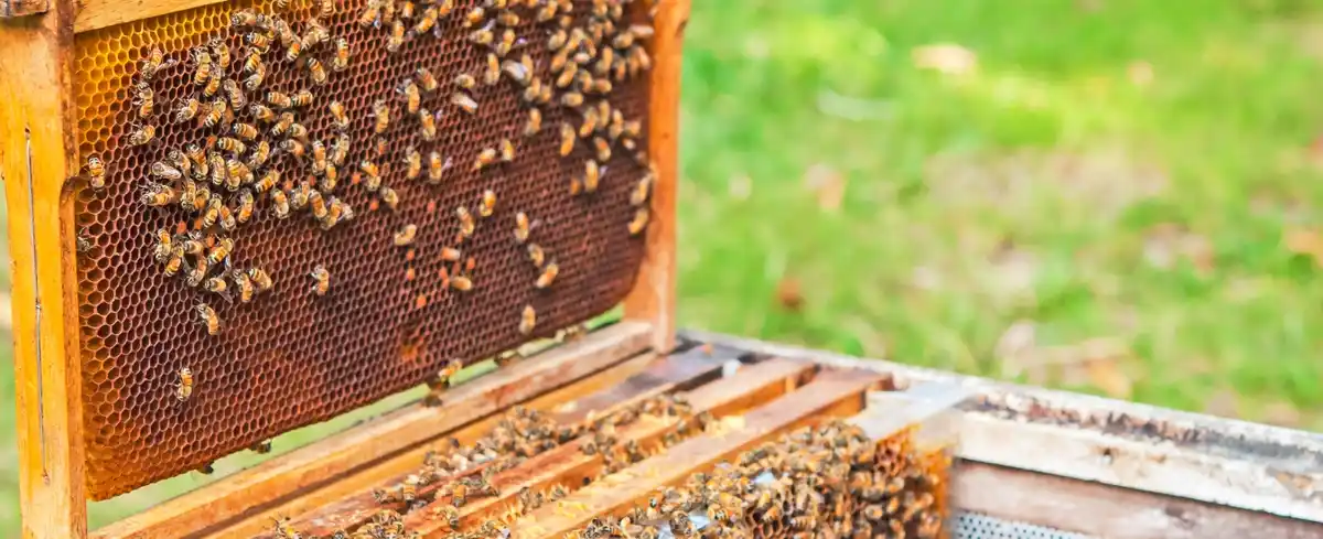 Viajes a Nuqui Colombia