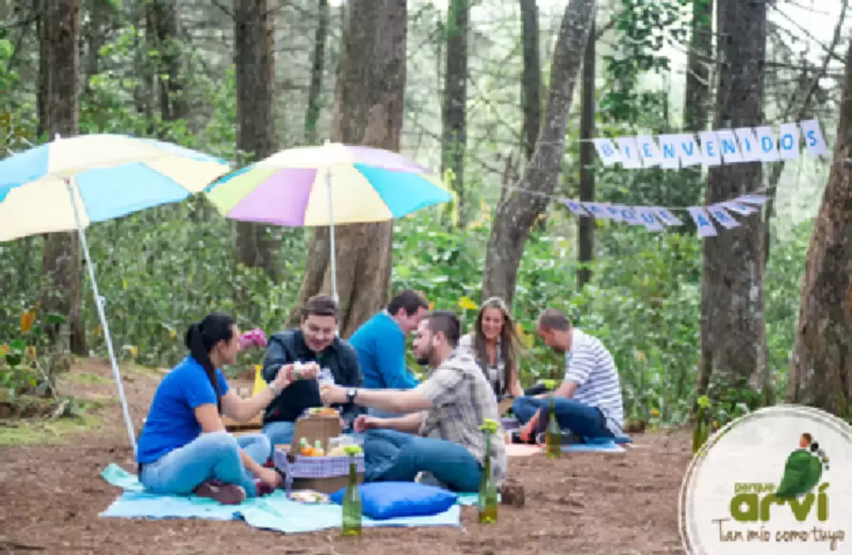 Picnic en Parque Arv